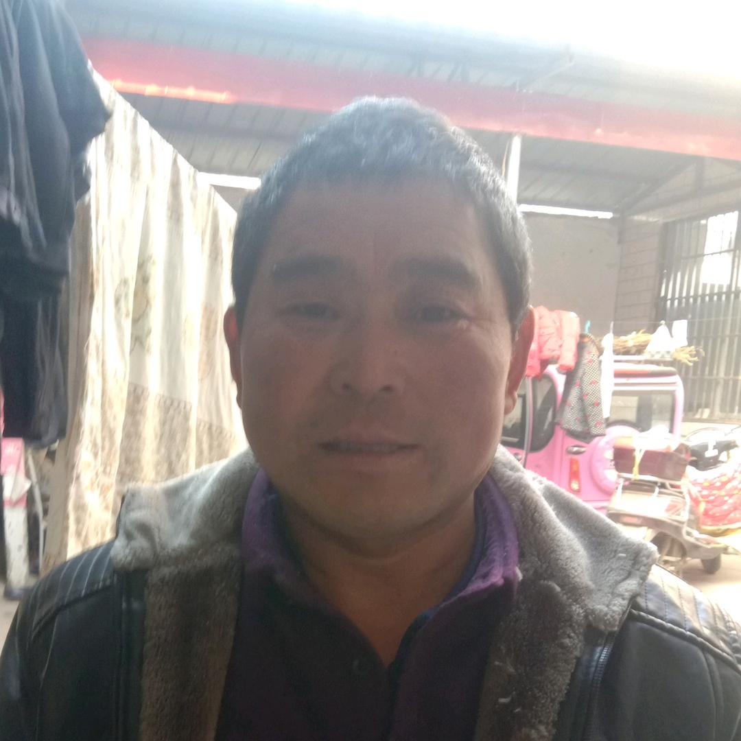 家和万事兴。