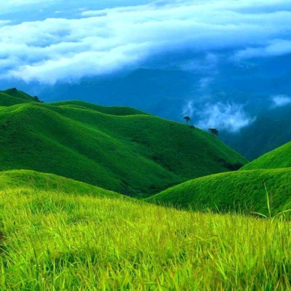 桓仁六河大米            云之