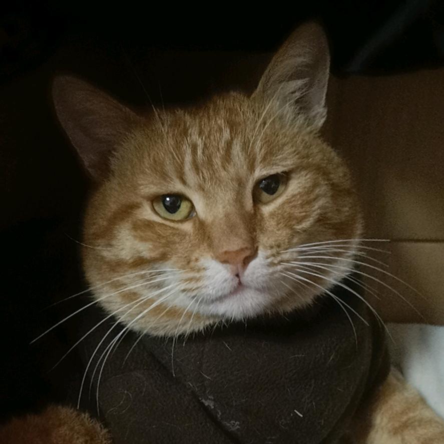 三分天注定七分靠打拼