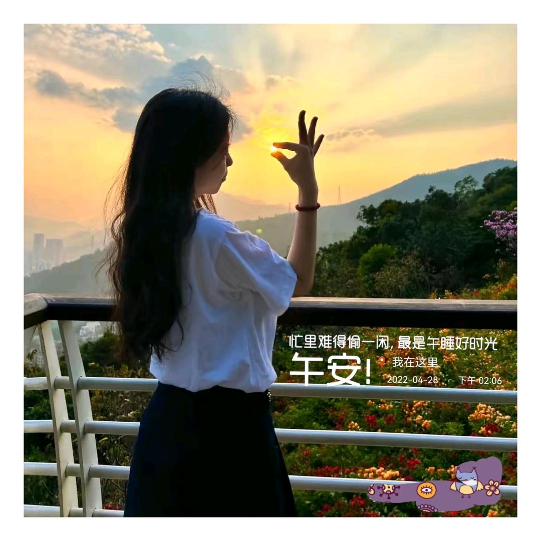 会飞的鱼v