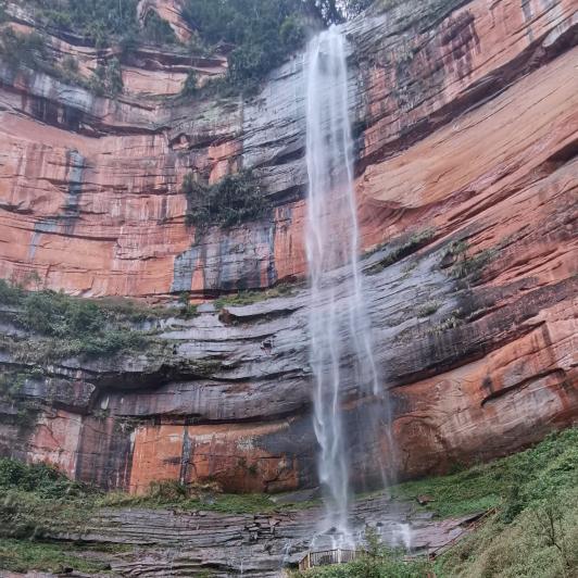 桥哥（布瑞吉）