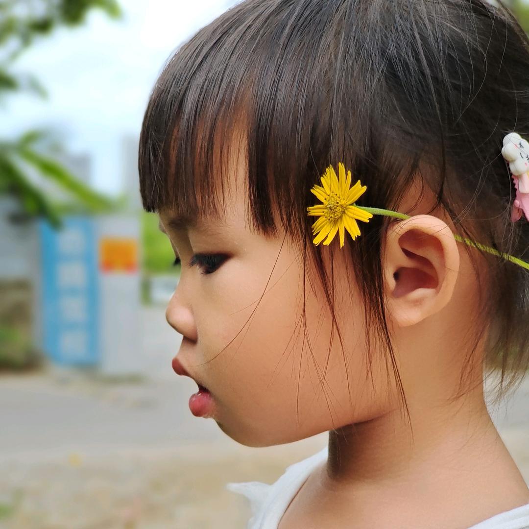 三亚防宰客攻略 (槟榔讲叔)