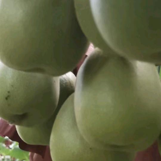 ꧁꫞꯭人生无悔꯭꫞꧂