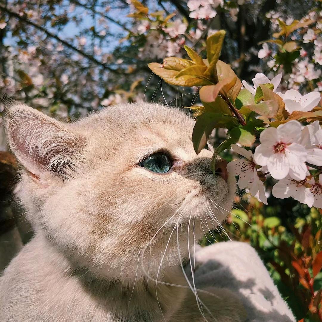 执手。