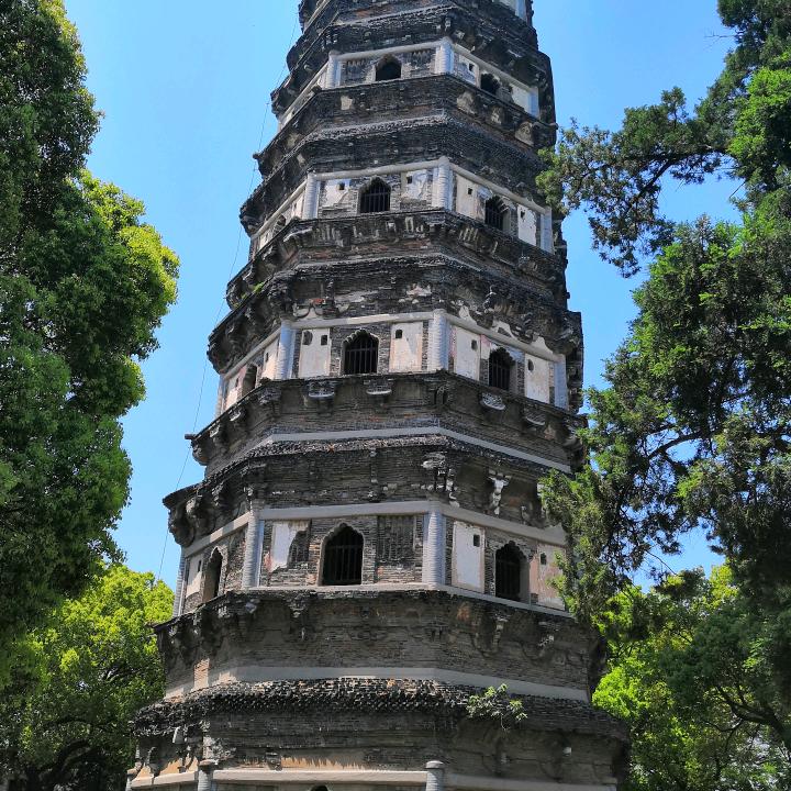 周大龙（互   不打扰）