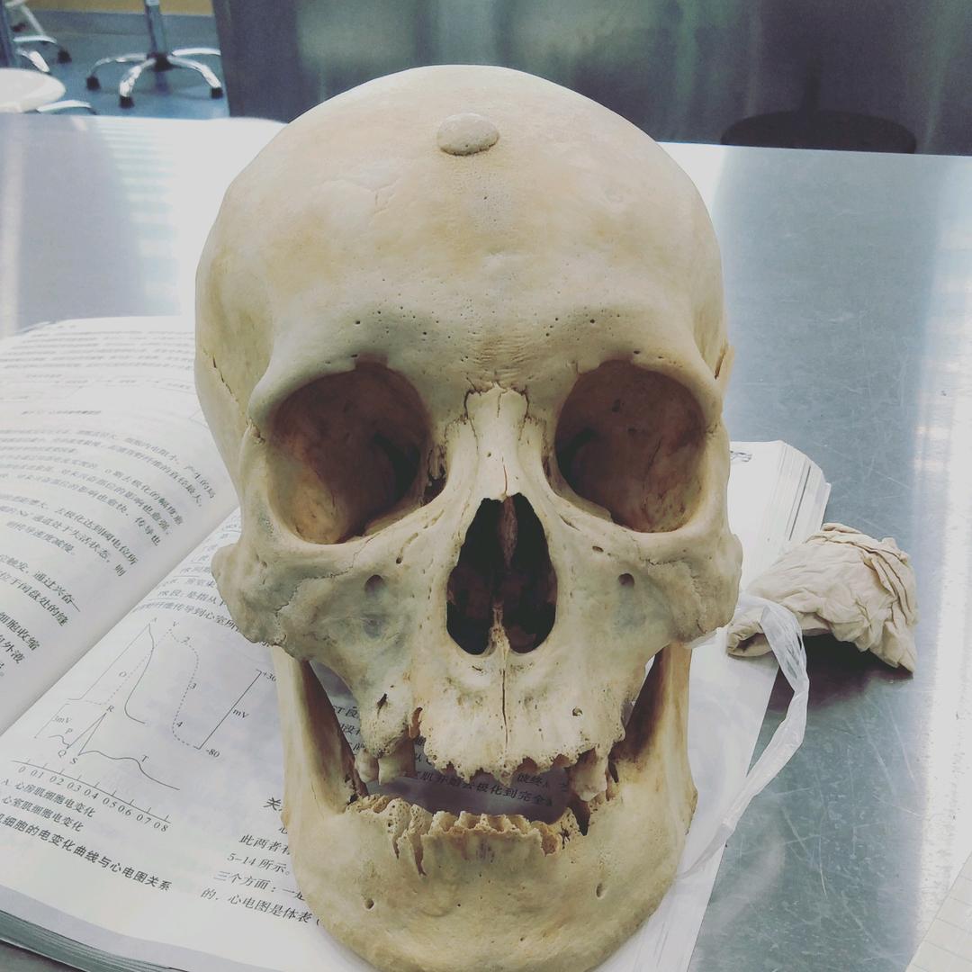 钱来，钱来，钱从四面八方来