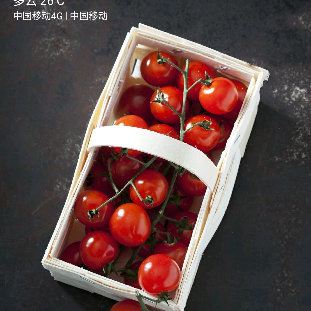 谱写一生用户9672322898688