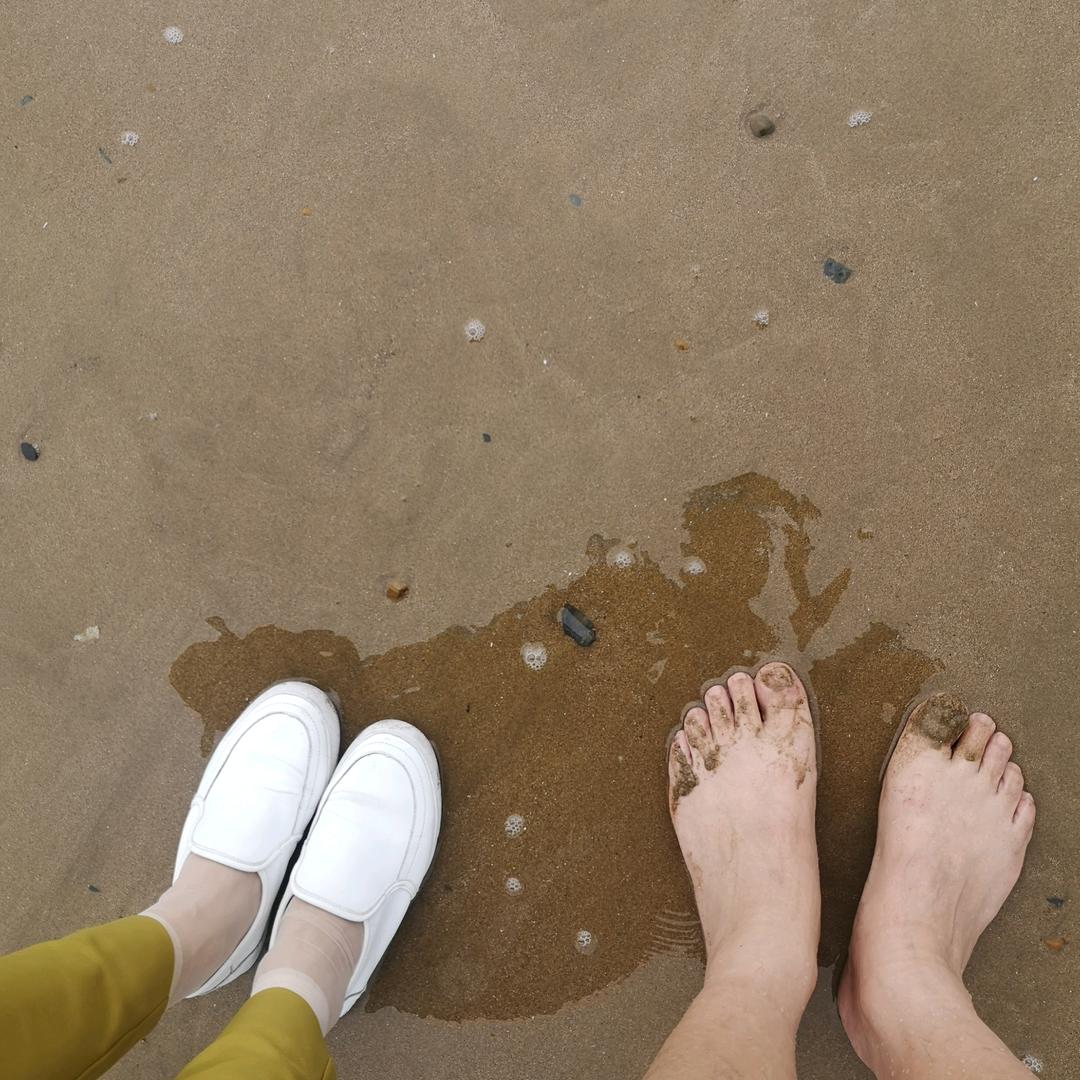 海螺