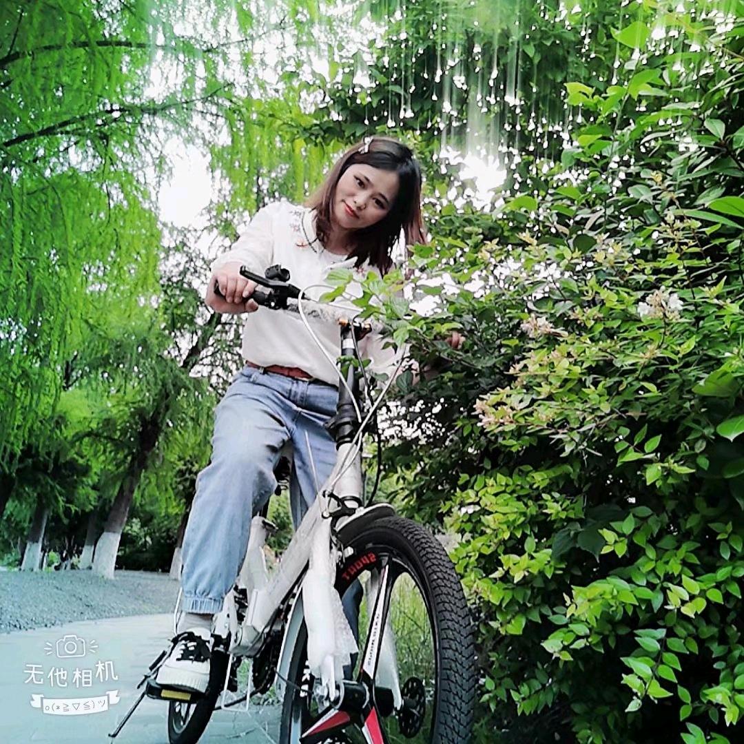 春去不再来