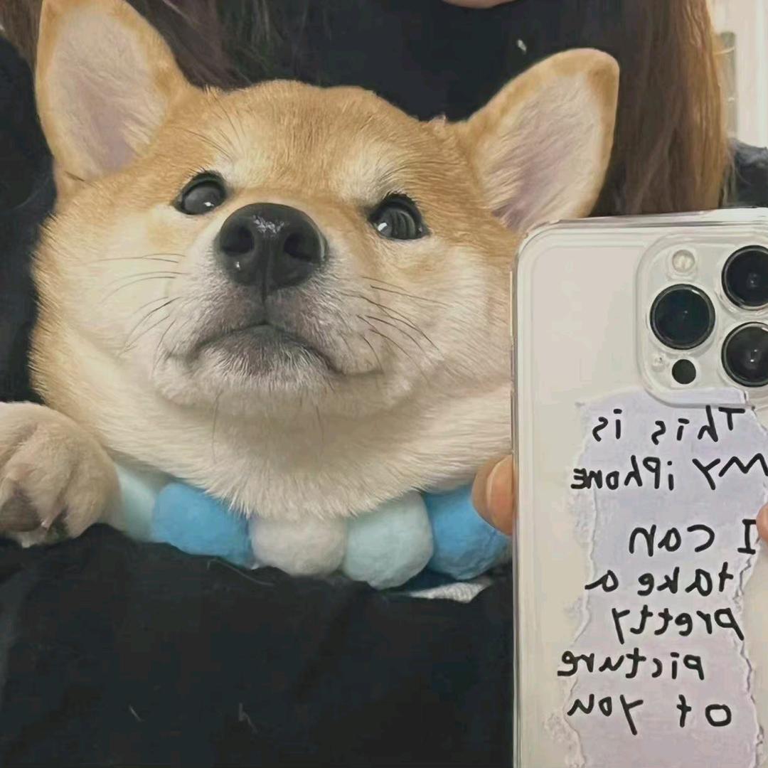 星星里蔓延的。。