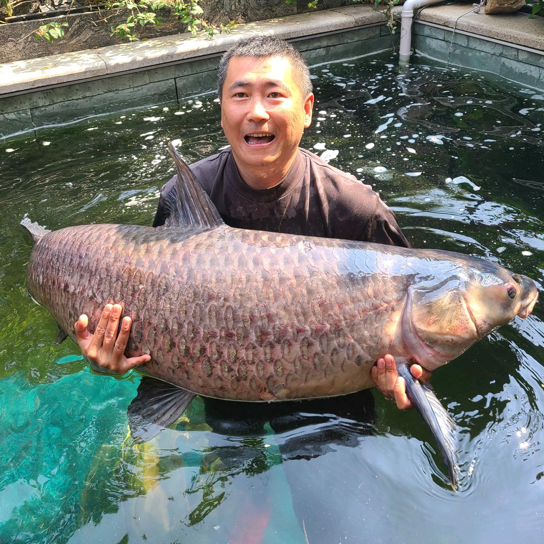 大渔虎哥