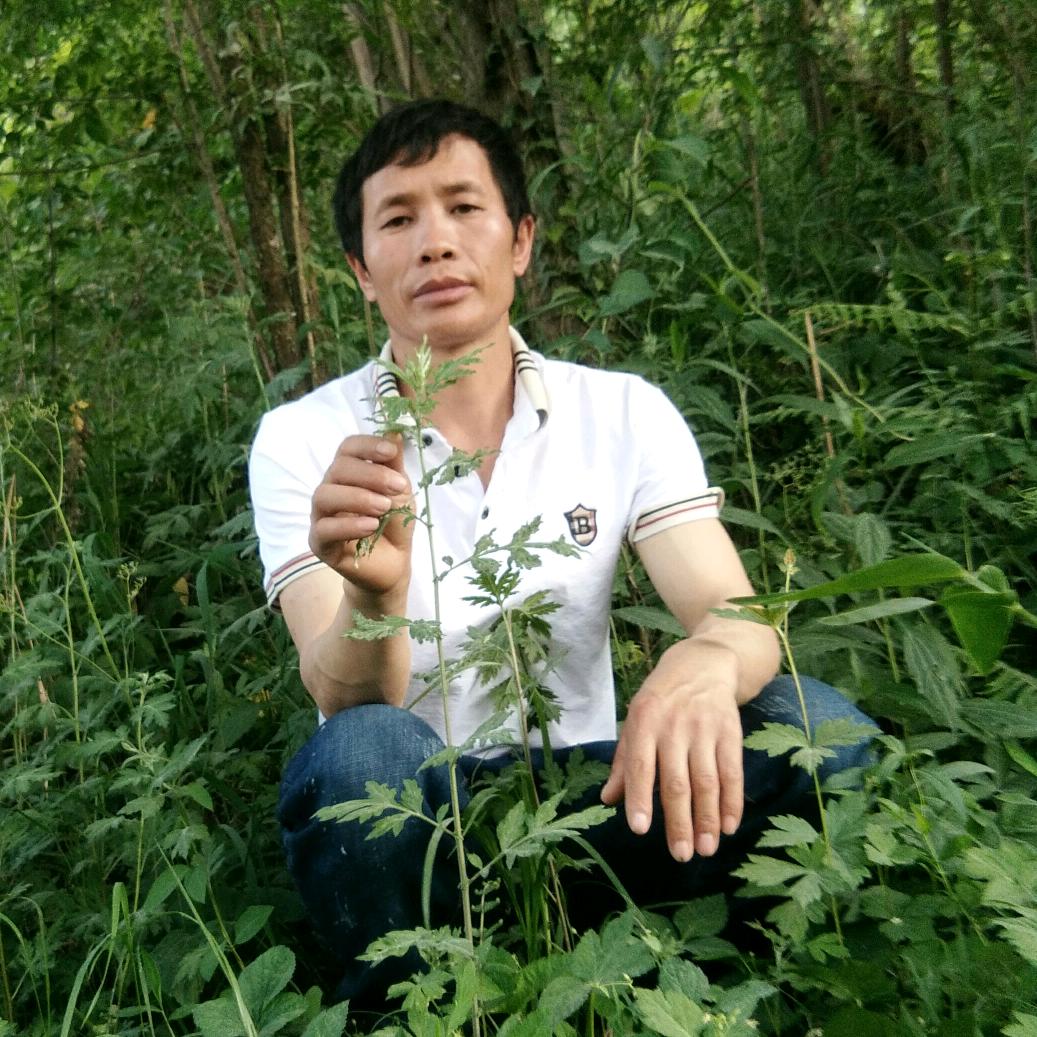 幻想你的存在