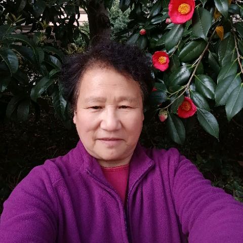 叶茉莉(不定时开播)