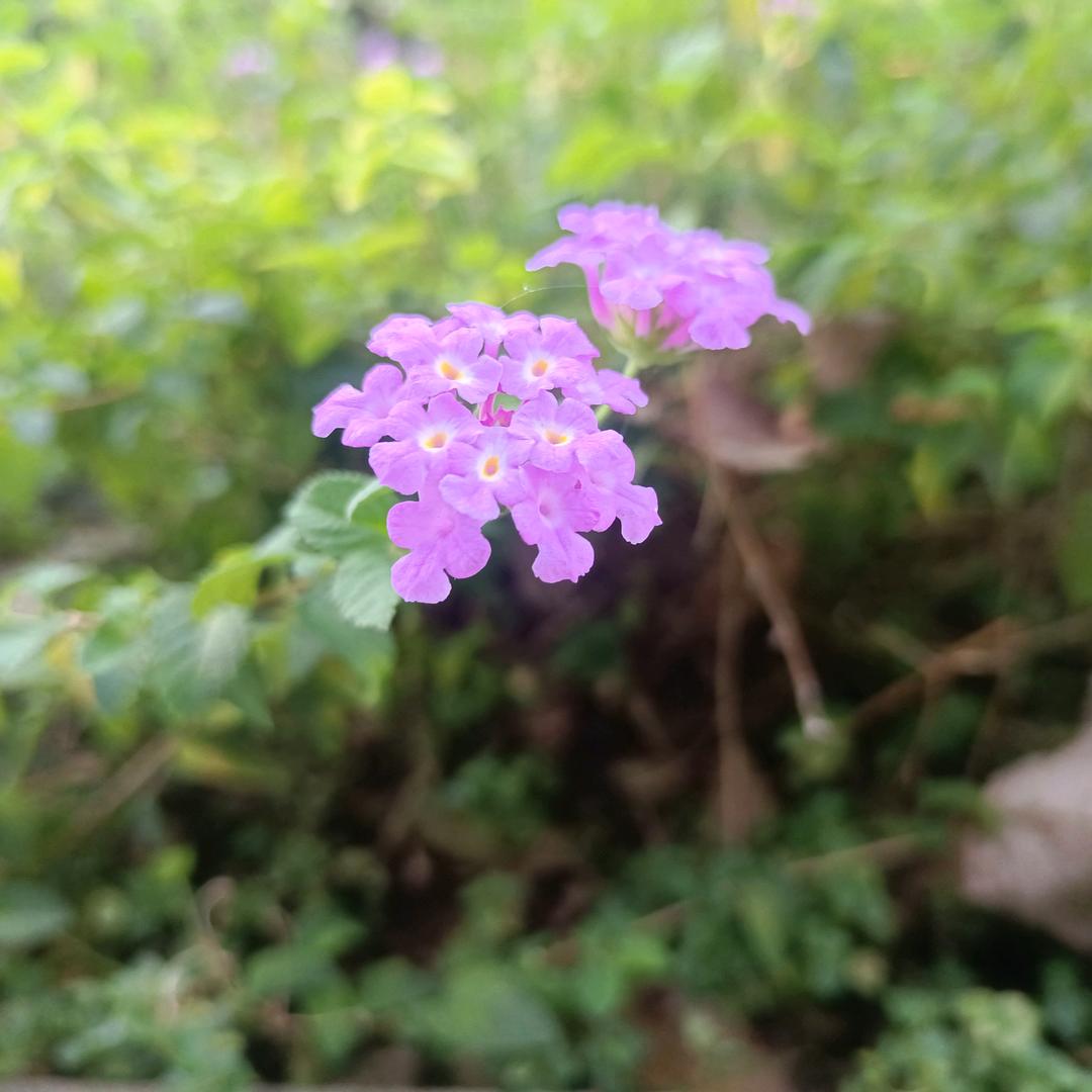 永不放弃