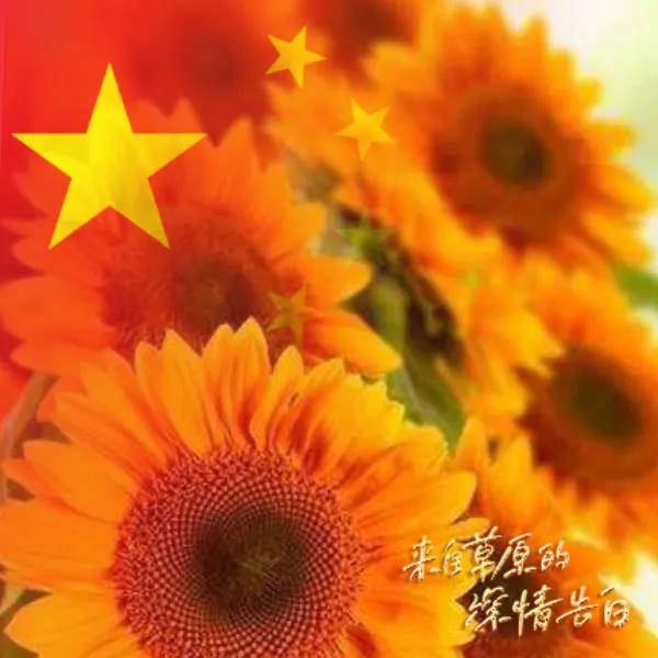 转运珠