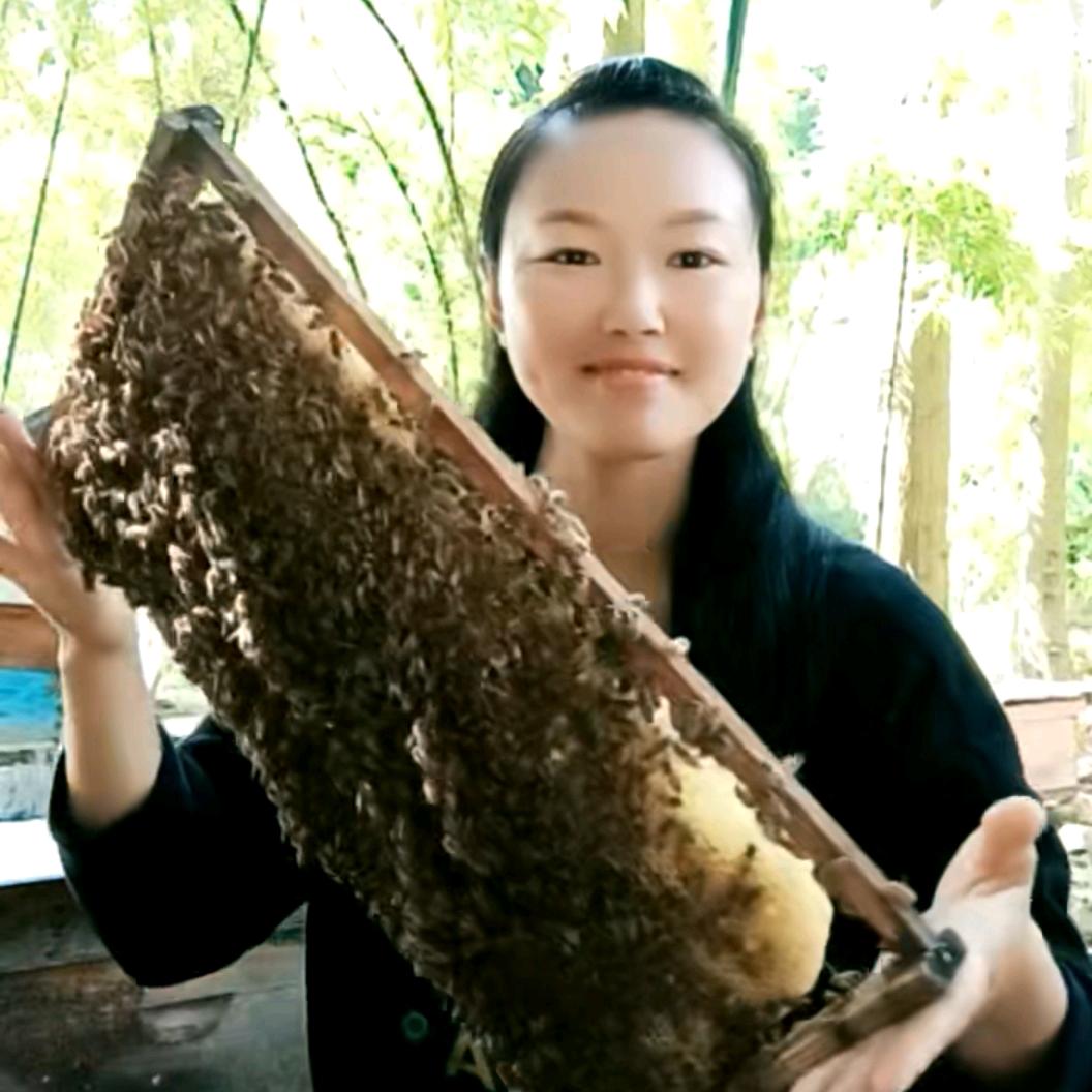 蜜蜂妹