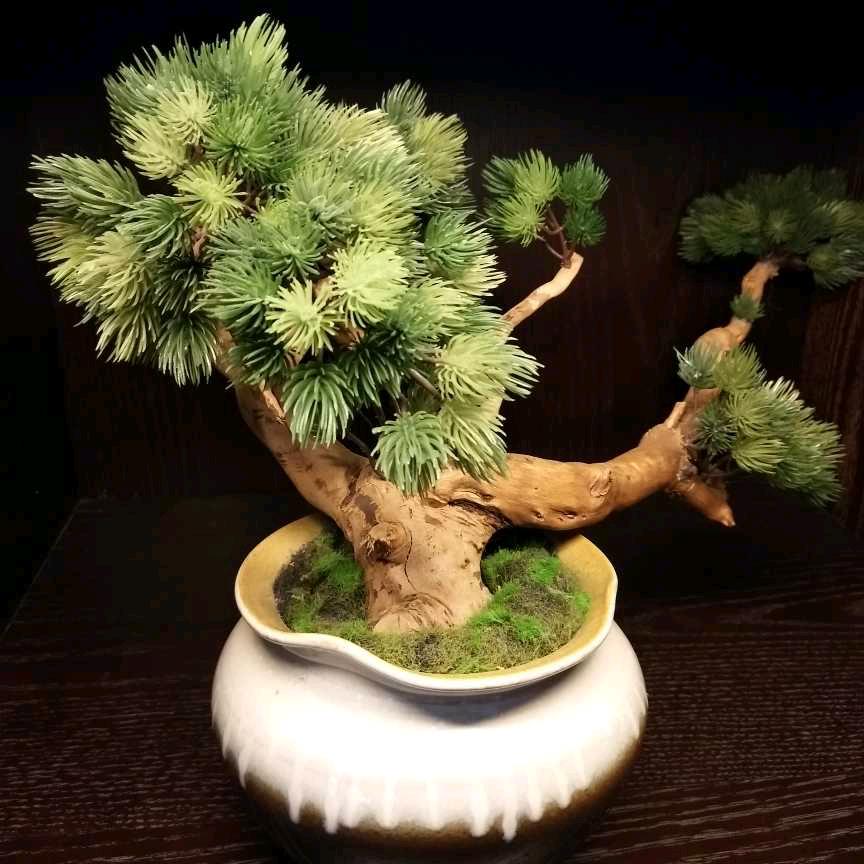 国学、运动、生活。