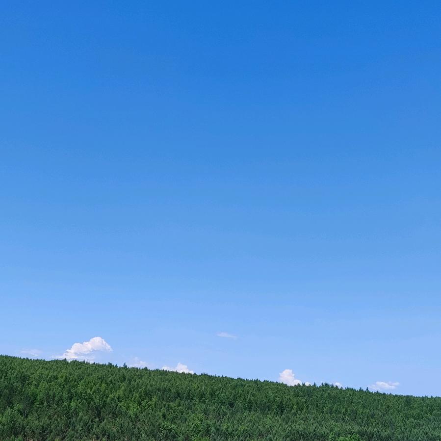 温柔被搁浅