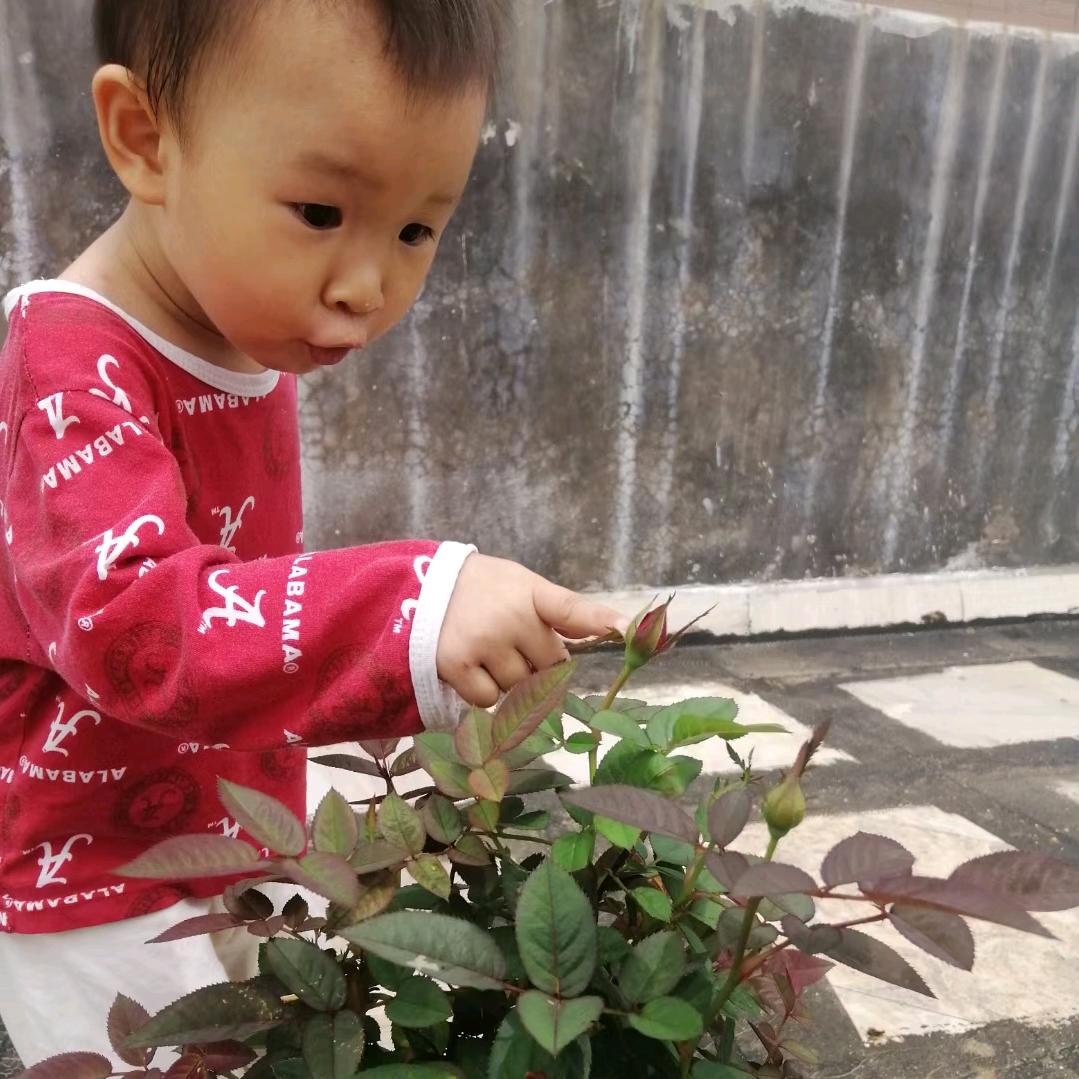 萍姐@8