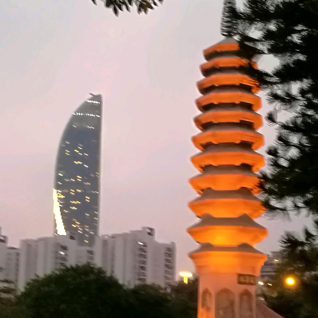 文槿