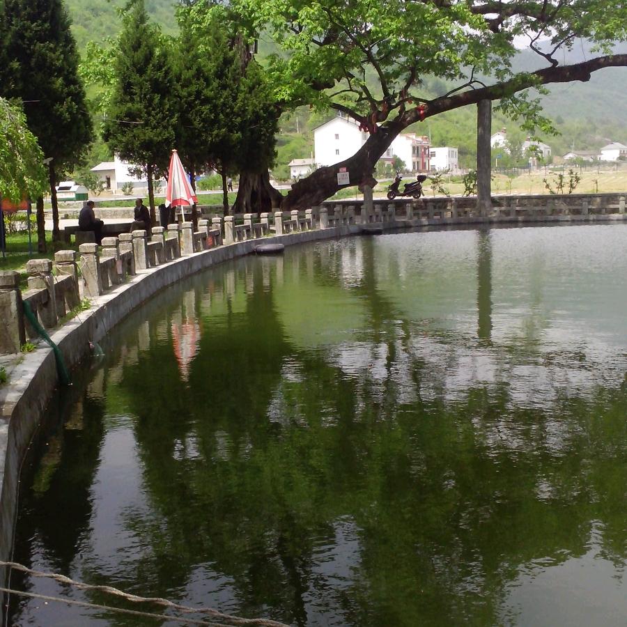 缘梦