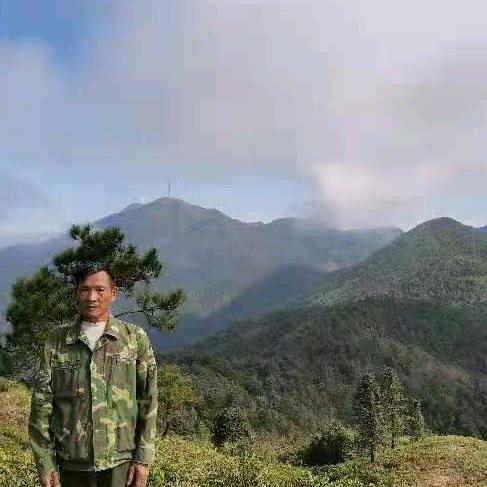 广东客家养蜂叔公