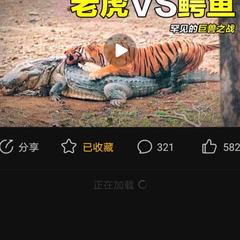皓爸爸