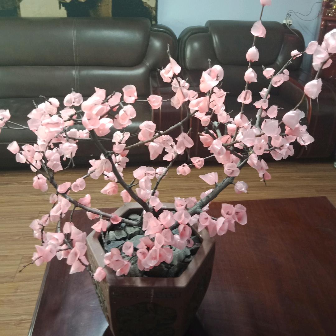 春天*luckpig