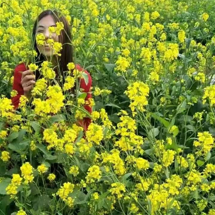 七浩芯橙
