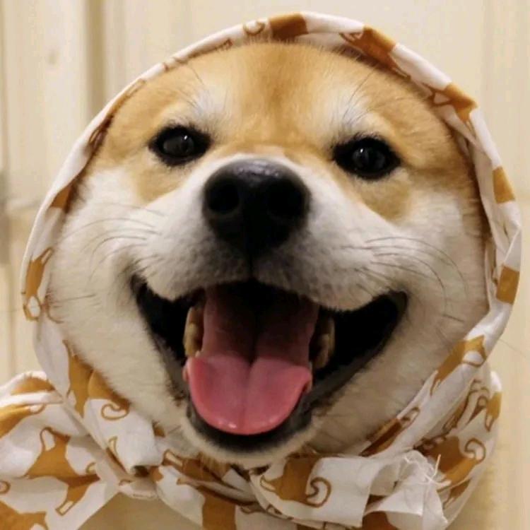 王小帅