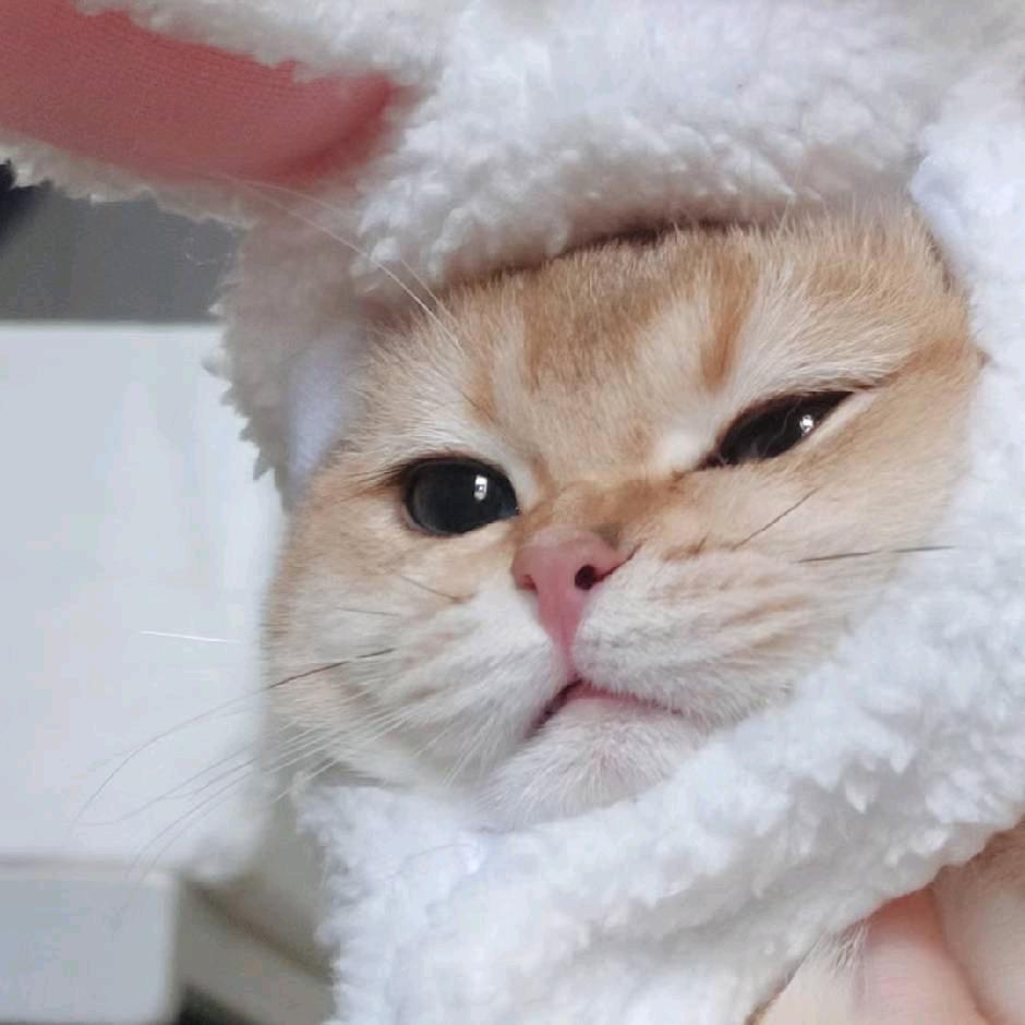 果果-