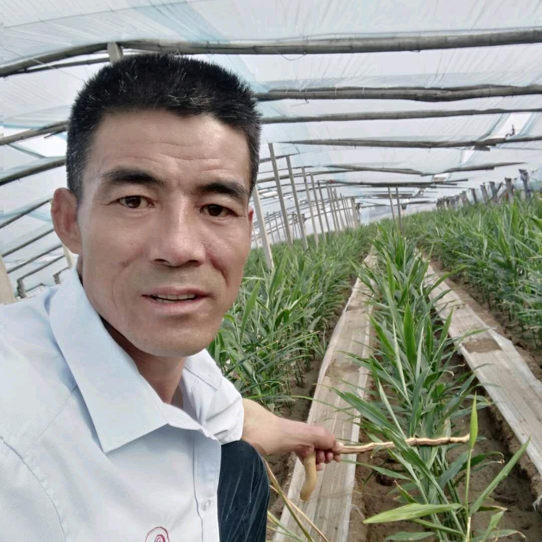 盛田植保（王振东）