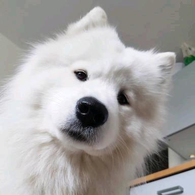 叫我冰美式