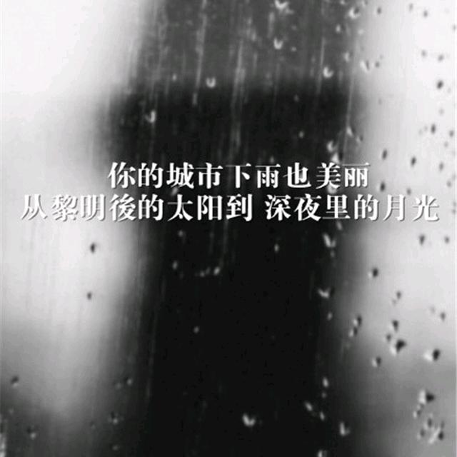 迷茫大师头像