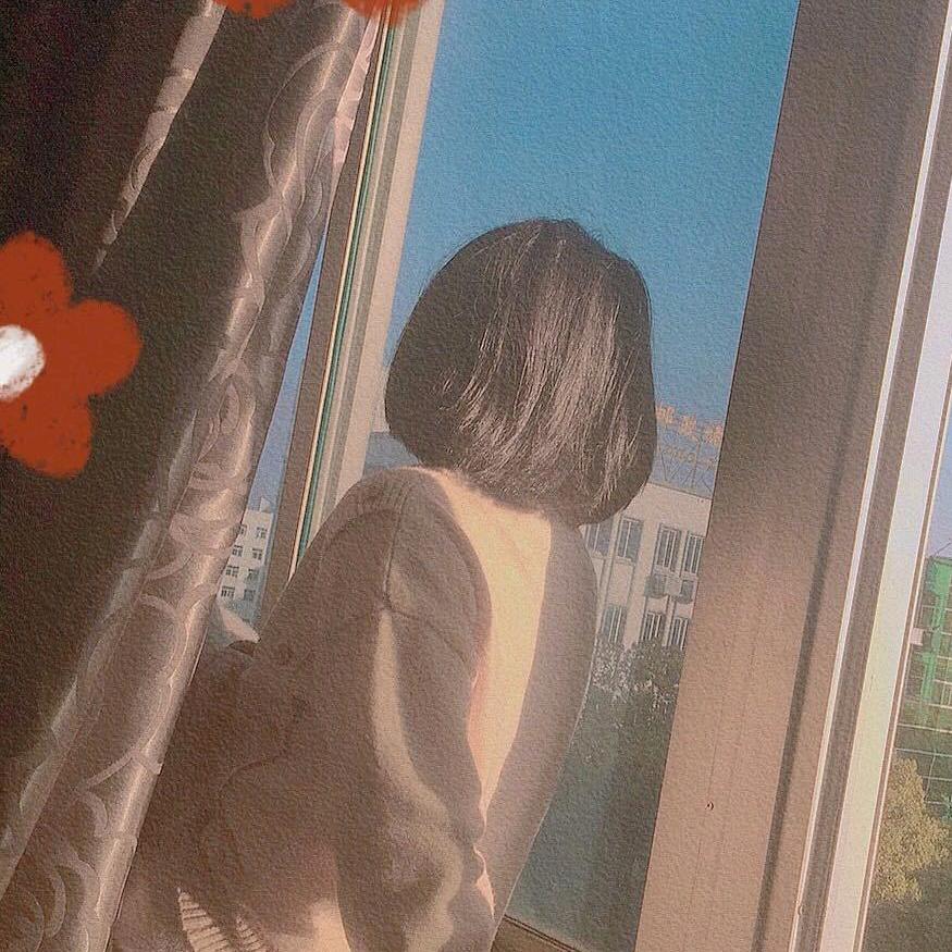 好运莲莲
