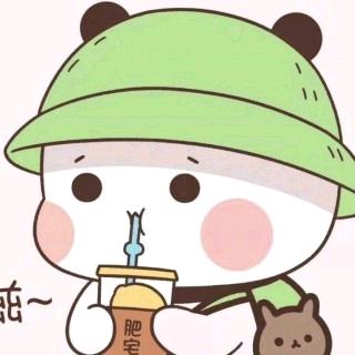 婵豆豆