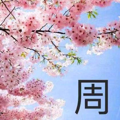 周……