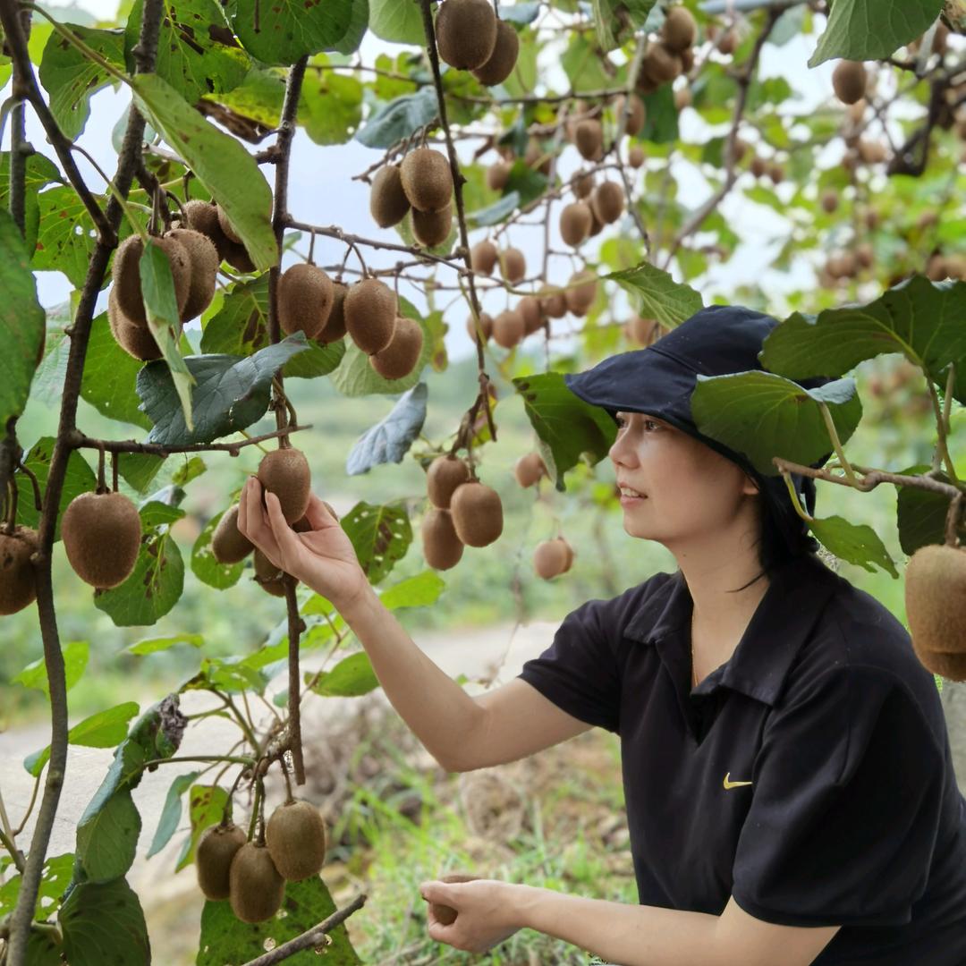 不如遇见土特产