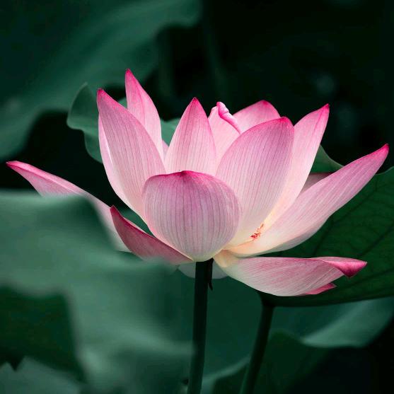 小任〈生活号〉