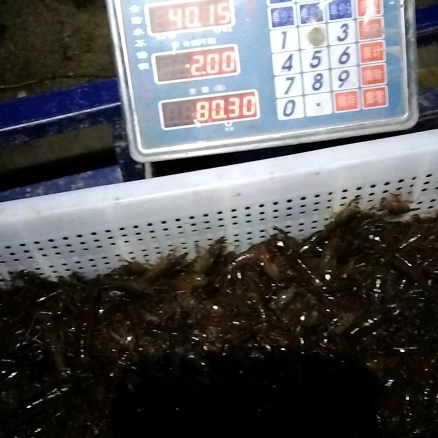 用户杨锡平41624222（