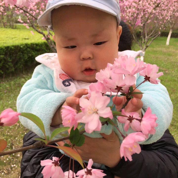 李