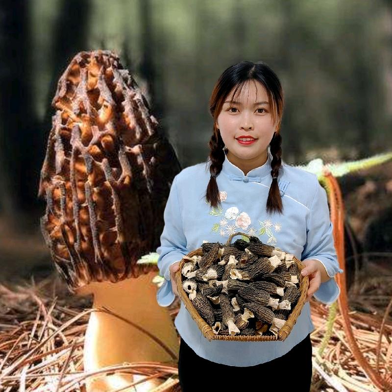 菌小妹羊肚菌批发