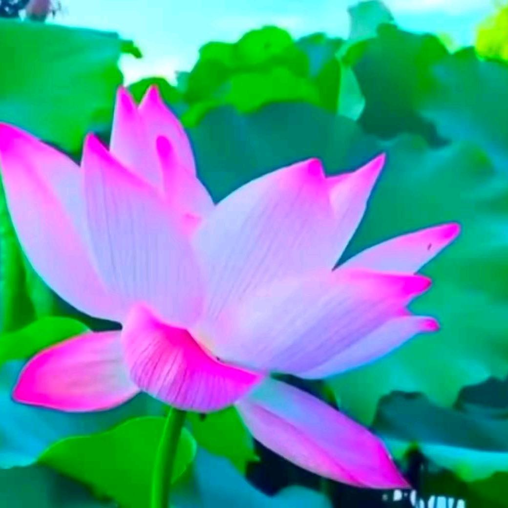 小苏就是我呀