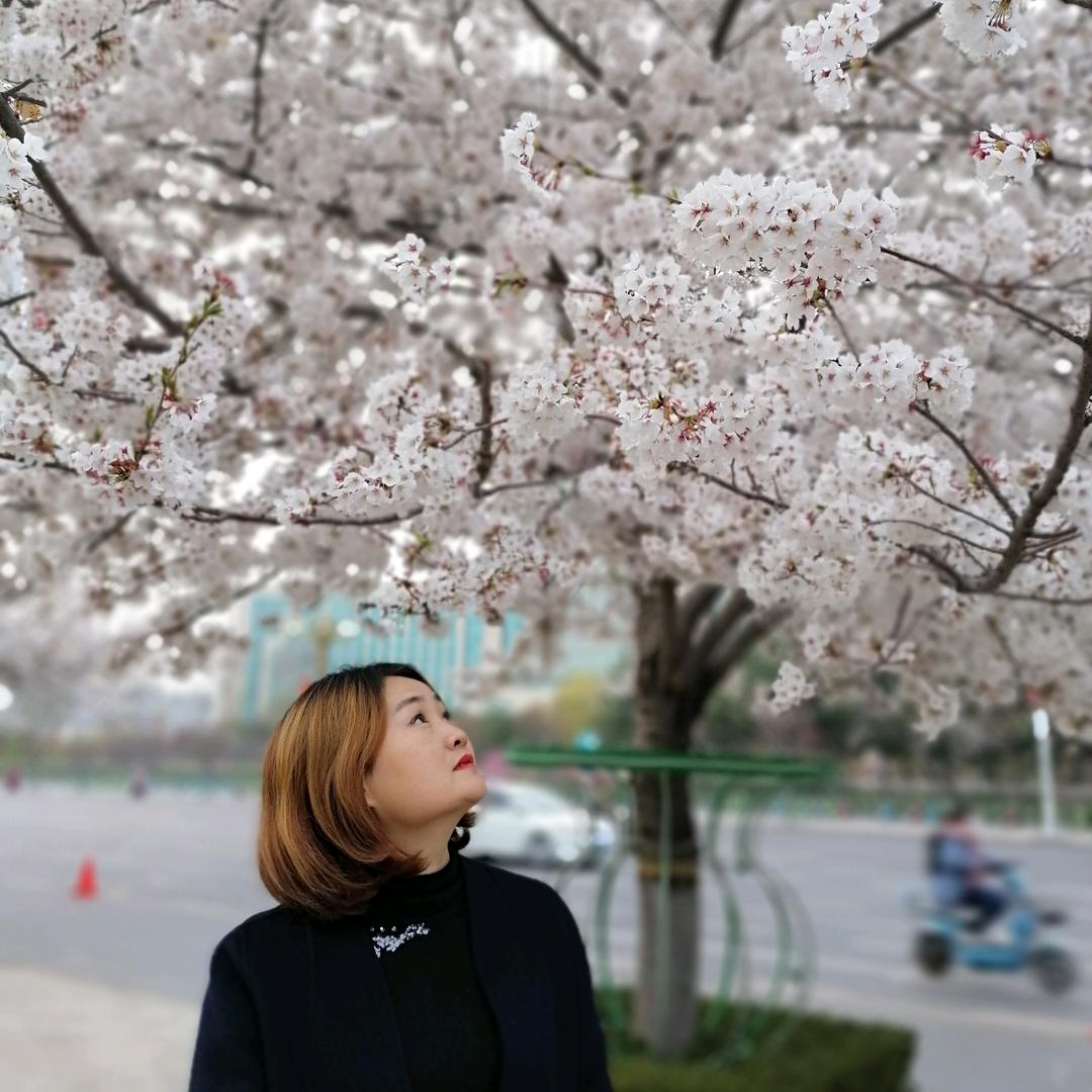 澳柯玛厨热红姐