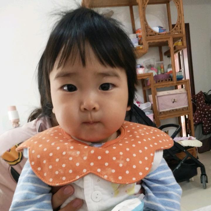 胖芹
