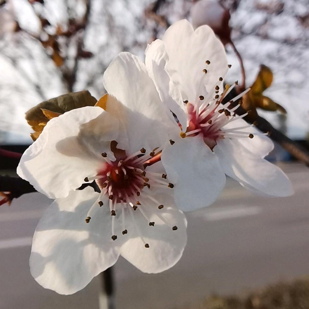 青山依旧在细水永长流