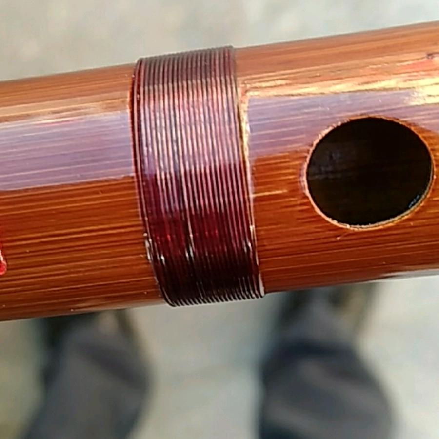 笙管笛箫~伊诗斌