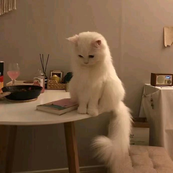 ♡(❀ฺ•㉨•❀ฺ)♡