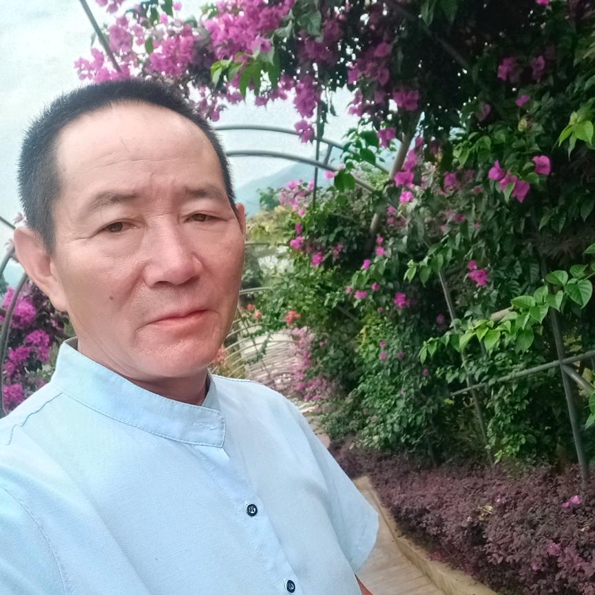 孤独的游子