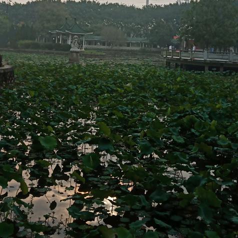 用户828488伊诚！